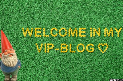 bienvenue